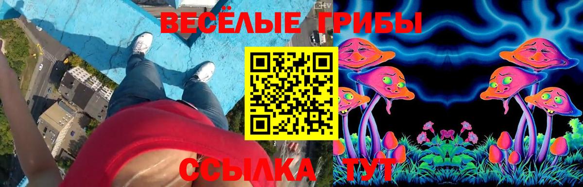 Галлюциногенные грибы Psilocybine cubensis Мегион